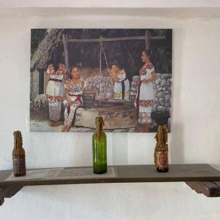 Вілла Gran Casa Colonial Equipada En El Centro De Valladolid. Вальядолід Екстер'єр фото
